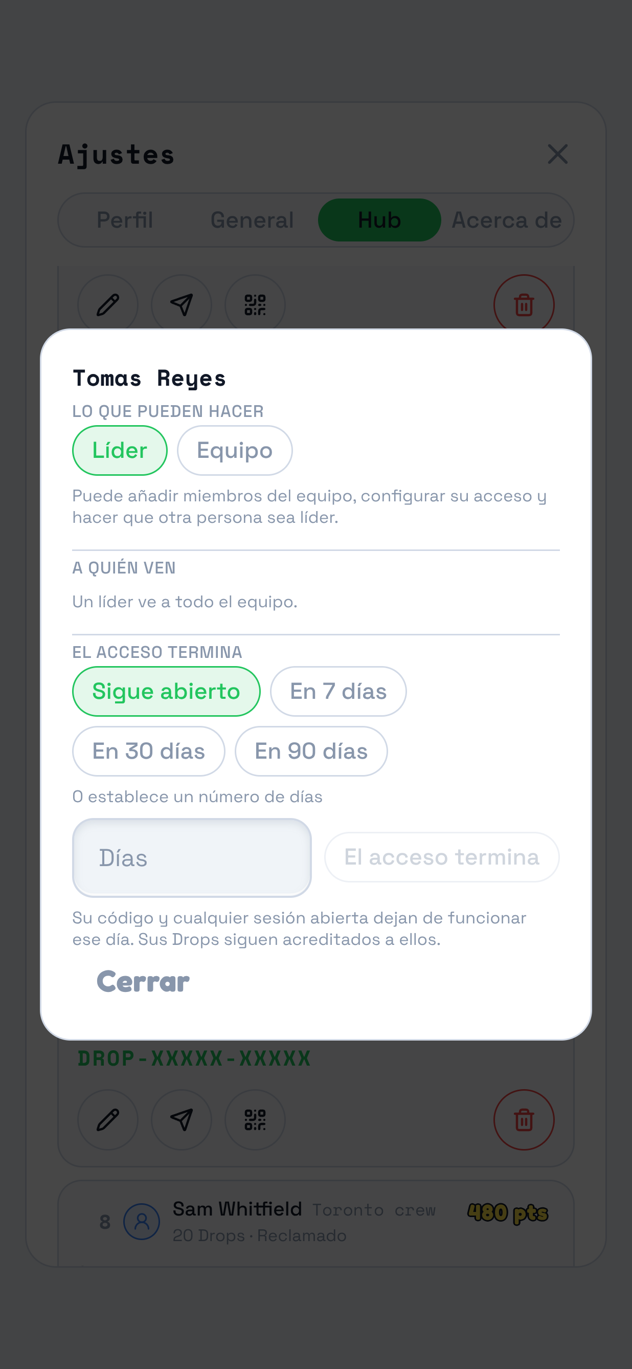 El mismo panel con Líder seleccionado. Se destaca esa opción y su explicación: puede añadir personas al equipo, ajustar su acceso y dar el rol de líder a otra persona. En lugar de las opciones de visibilidad aparece la indicación de que un líder ve a todo el equipo.